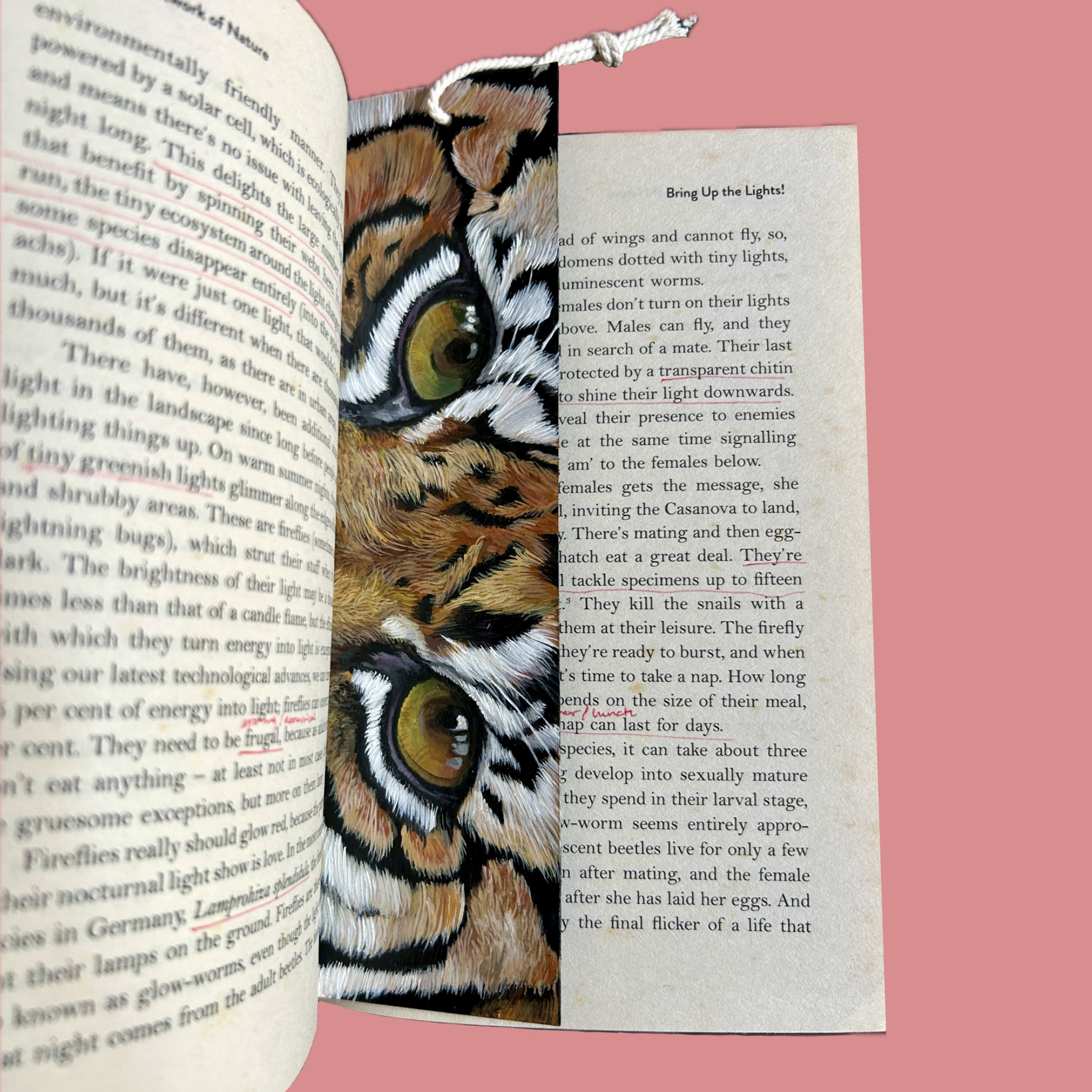 Bengal Tiger