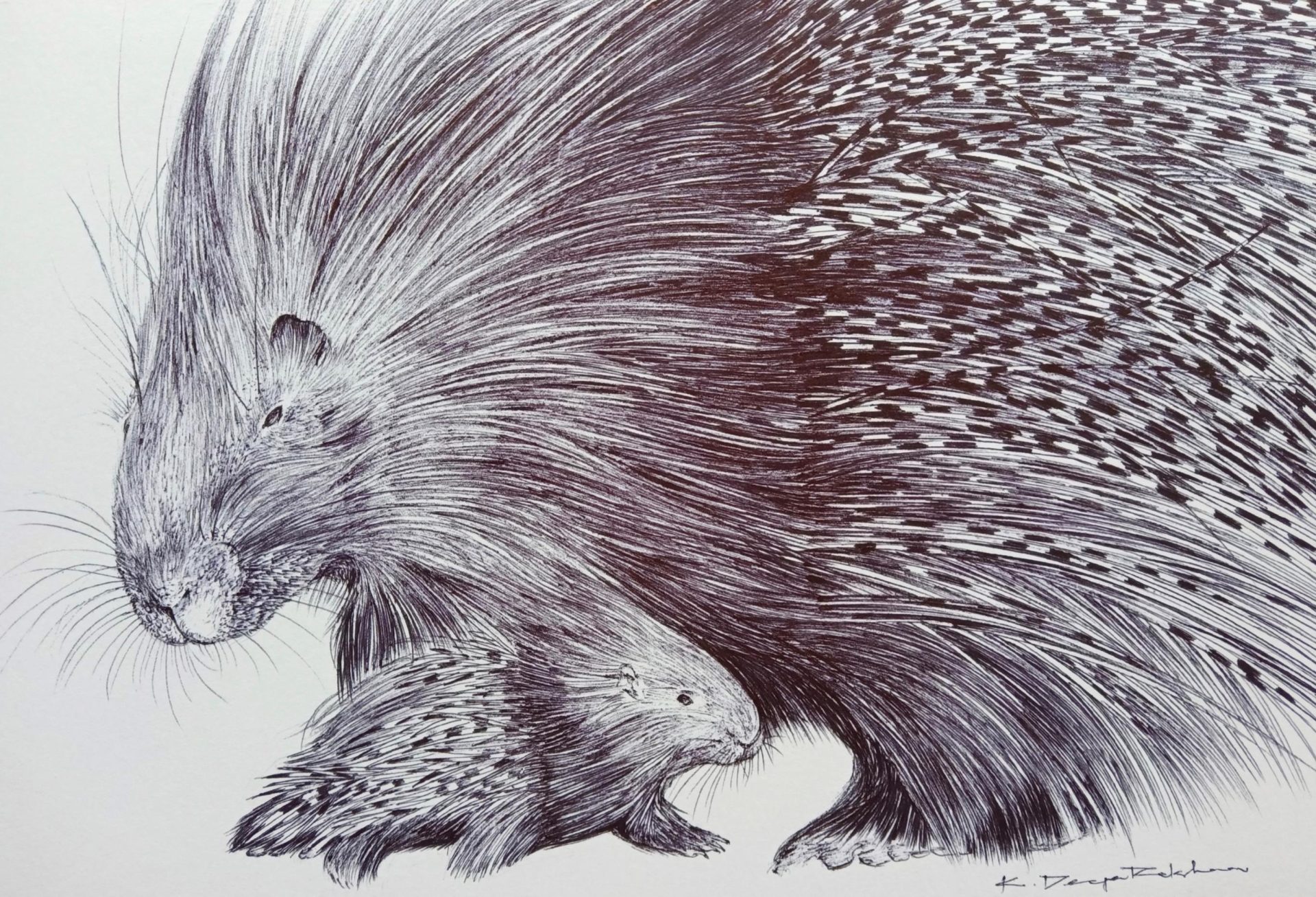 The mama and baby quills