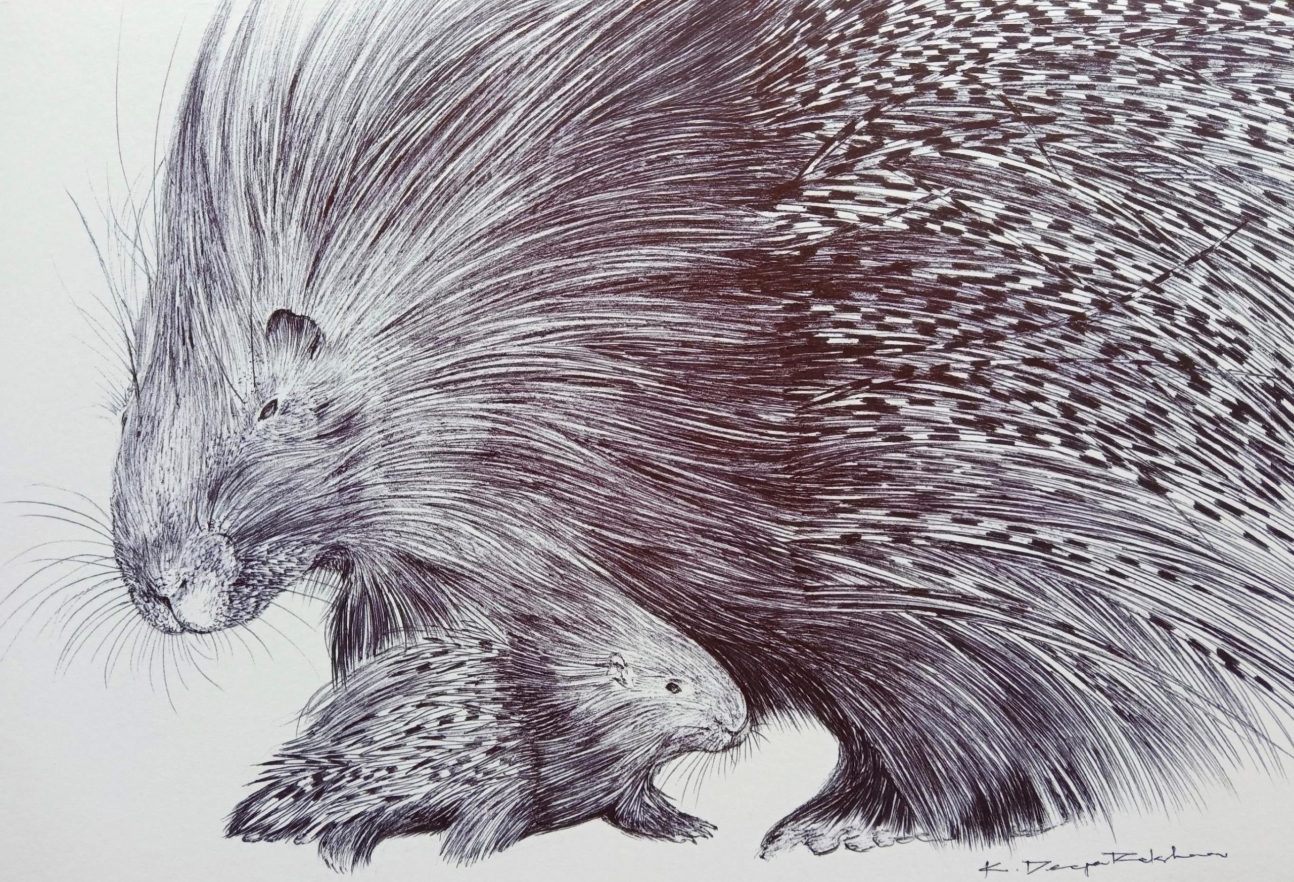 The mama and baby quills