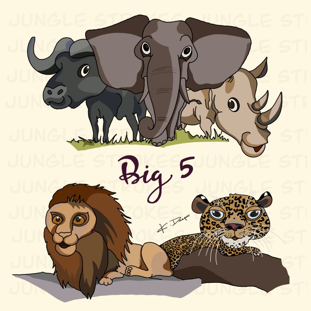 Big 5 of Africa