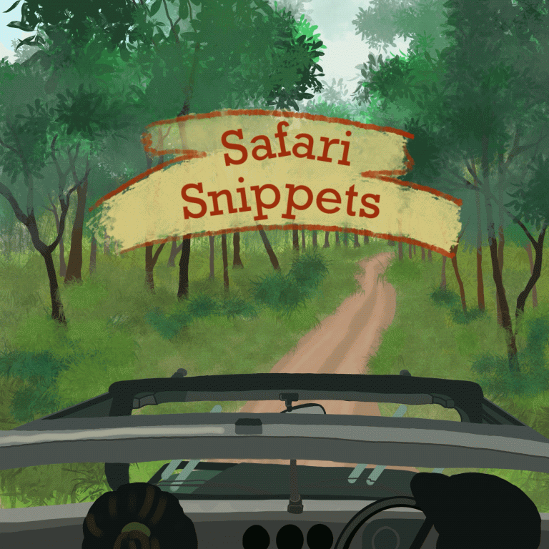 Safari Snippets