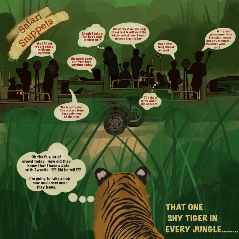 The Shy Tiger